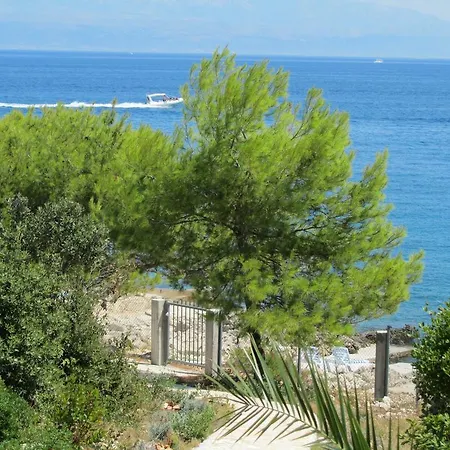 Villa House At The *